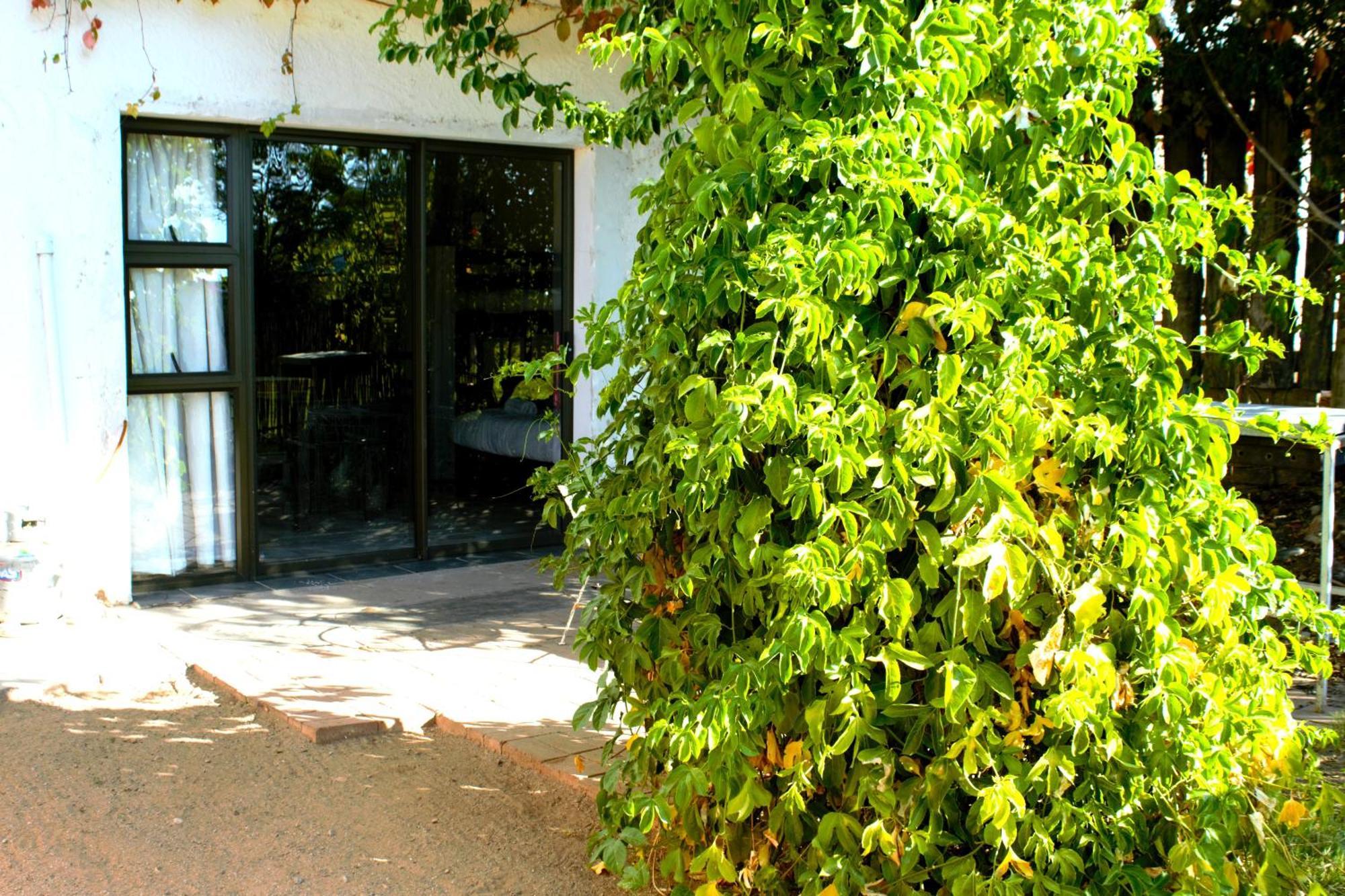 Ditsem Guest Farm Upington Dış mekan fotoğraf